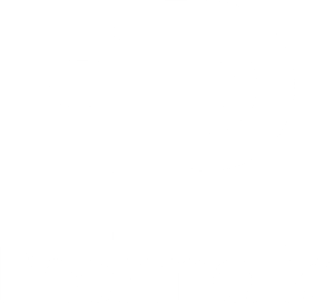 Logo_Pharmatic_2019_RVB_blanc_400x400px